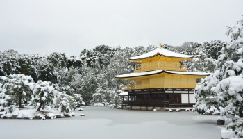 templo Kinkaku ji