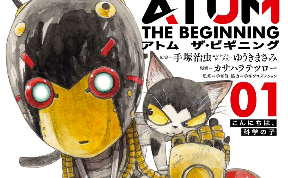 Atom the beginning кот.